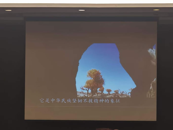 綿陽中旅行假日旅行社舉行胡楊林、南疆專列推薦會(huì)